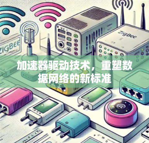 加速器驱动技术，重塑数据网络的新标准