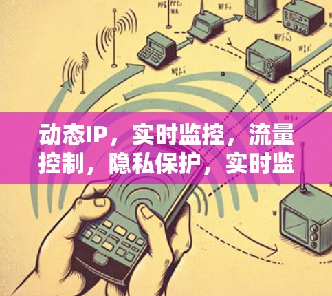 动态IP，实时监控，流量控制，隐私保护，实时监控