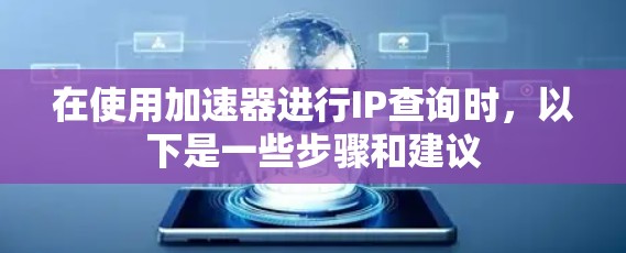 在使用加速器进行IP查询时，以下是一些步骤和建议
