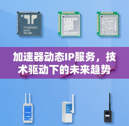加速器动态IP服务，技术驱动下的未来趋势