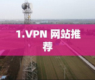 1.VPN 网站推荐