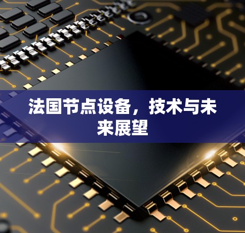 法国节点设备，技术与未来展望