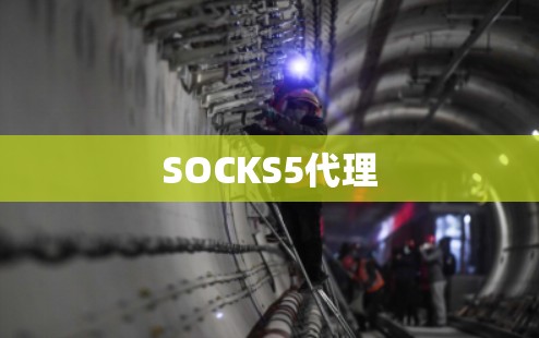 SOCKS5代理 SOCKS5代理