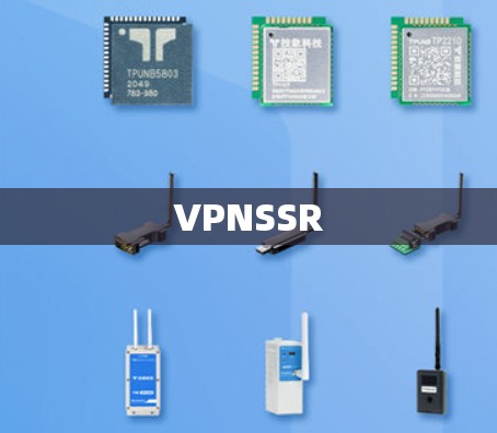 VPNSSR