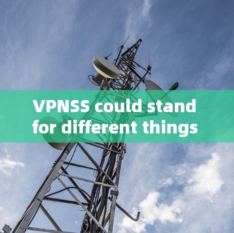 VPNSS could stand for different things depending on the context.Here are a few possibilities: