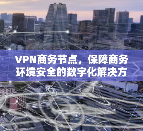 VPN商务节点，保障商务环境安全的数字化解决方案