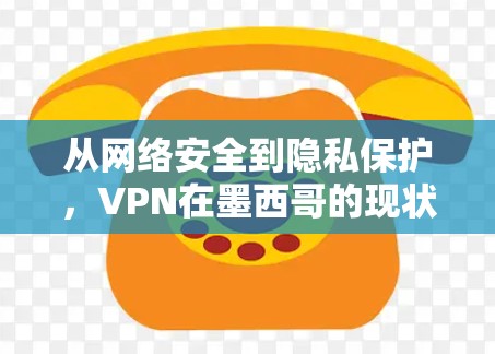 从网络安全到隐私保护，VPN在墨西哥的现状与未来