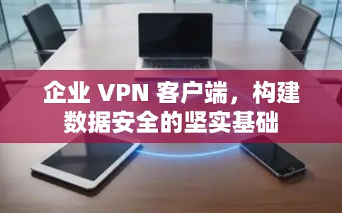 企业 VPN 客户端，构建数据安全的坚实基础