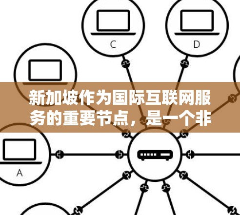 新加坡作为国际互联网服务的重要节点，是一个非常值得选择的VPN服务器地。新加坡拥有强大的网络基础设施和丰富的用户基础，是国际VPN服务的重要选择。以下是一些关于新加坡VPN服务器的信息