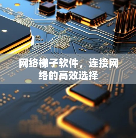 网络梯子软件，连接网络的高效选择