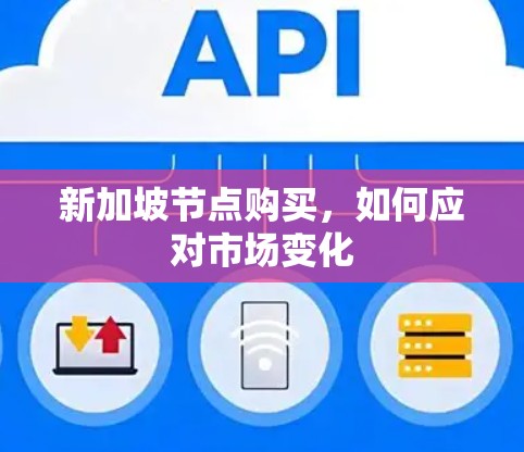 新加坡节点购买，如何应对市场变化