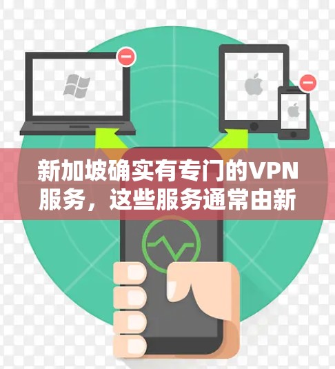 新加坡确实有专门的VPN服务，这些服务通常由新加坡政府或非政府组织提供。新加坡的互联网服务符合新加坡的法律法规，同时也受到新加坡政府的监管。以下是一些关于新加坡VPN的信息
