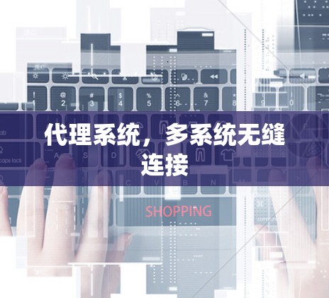 代理系统，多系统无缝连接