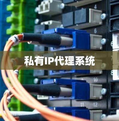 私有IP代理系统