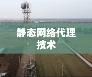 静态网络代理技术