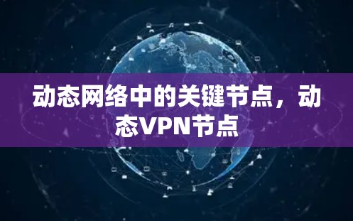 动态网络中的关键节点，动态VPN节点