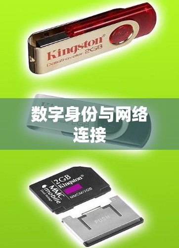 数字身份与网络连接