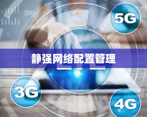 静强网络配置管理