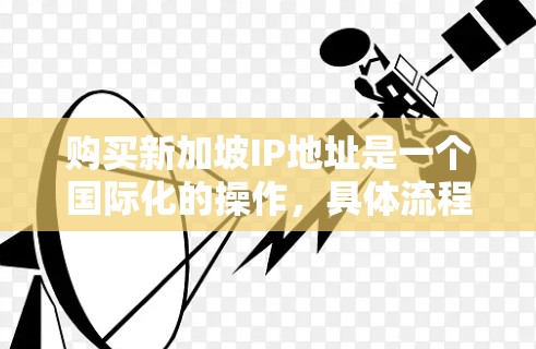 购买新加坡IP地址是一个国际化的操作，具体流程和费用可能会因平台而异，因此建议您先访问相关平台了解最准确的信息。以下是一些通用的购买新加坡IP地址的步骤和费用信息