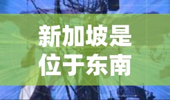 新加坡是位于东南亚的国家，其互联网服务提供商（ISP）和网络基础设施在全球范围内都有一定的影响力。以下是一些关于新加坡的IP地址相关信息
