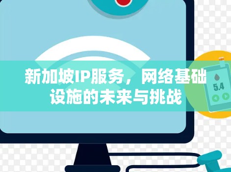 新加坡IP服务，网络基础设施的未来与挑战