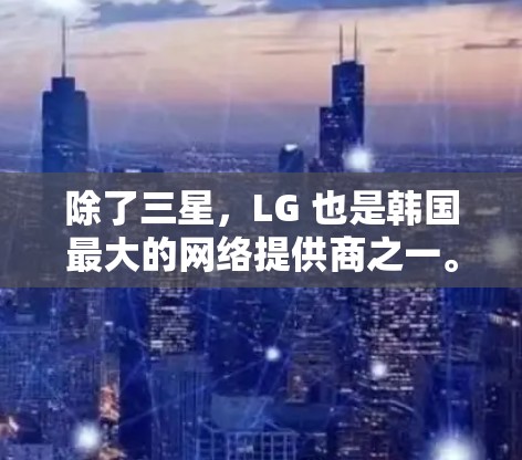 除了三星，LG 也是韩国最大的网络提供商之一。LG的网络设备和服务器也非常先进，支持多语言和多种通信协议。LG的网络结构非常灵活，能够根据不同的需求进行调整，这对用户来说非常有帮助