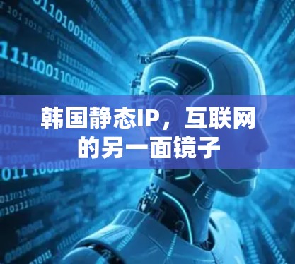 韩国静态IP，互联网的另一面镜子