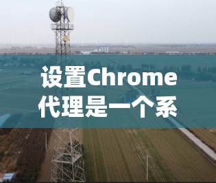 设置Chrome代理是一个系统性的过程，涉及多个步骤和配置。以下是一个清晰的指南，帮助你逐步设置Chrome代理