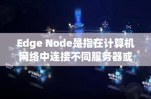 Edge Node是指在计算机网络中连接不同服务器或设备的节点，主要用于处理边缘数据，如实时处理、本地计算或数据传输。以下是关于Edge Node的详细设置内容
