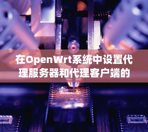 在OpenWrt系统中设置代理服务器和代理客户端的步骤如下