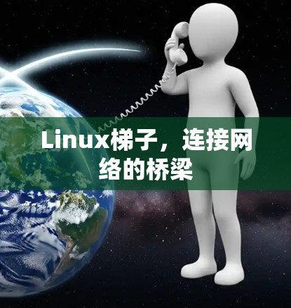 Linux梯子，连接网络的桥梁
