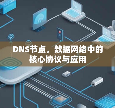 DNS节点，数据网络中的核心协议与应用