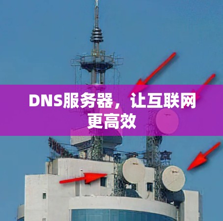 DNS服务器，让互联网更高效