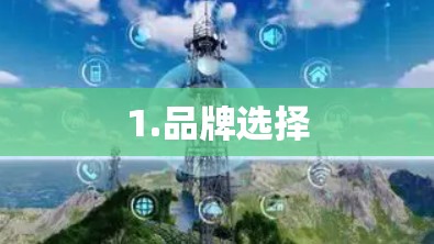 1.品牌选择