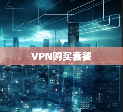 VPN购买套餐