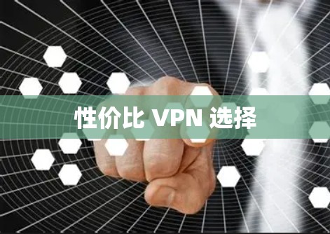 性价比 VPN 选择