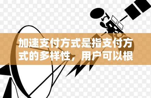 加速支付方式是指支付方式的多样性，用户可以根据自己的需求选择最合适的支付方式，以提高支付效率和安全性。以下是对加速支付方式的详细总结