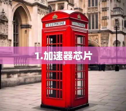 1.加速器芯片