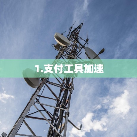 1.支付工具加速