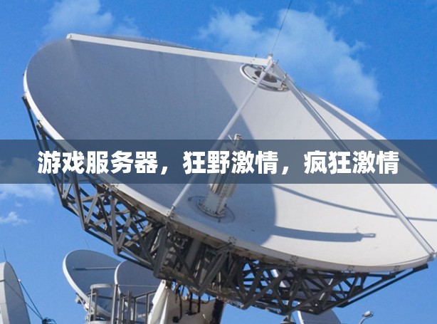 游戏服务器，狂野激情，疯狂激情