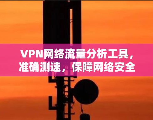 VPN网络流量分析工具，准确测速，保障网络安全