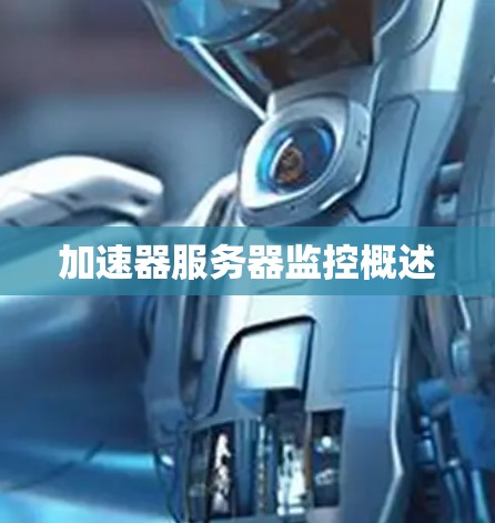 加速器服务器监控概述