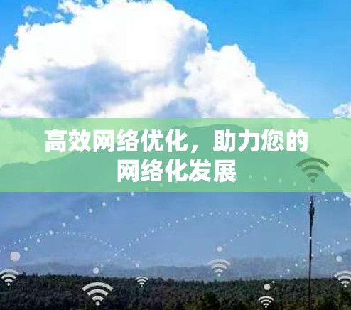 高效网络优化，助力您的网络化发展