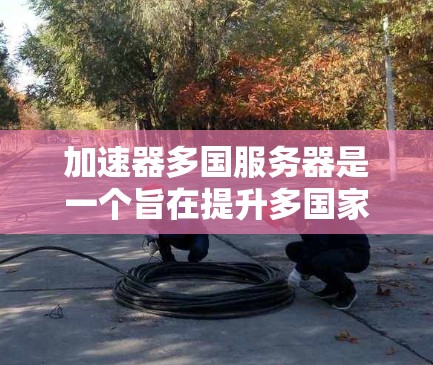 加速器多国服务器是一个旨在提升多国家庭网络访问速度的工具。以下是对加速器多国服务器的详细说明