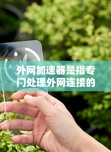外网加速器是指专门处理外网连接的加速工具，旨在提升网络连接的性能。以下是一些通常用于外网加速的工具及其特点