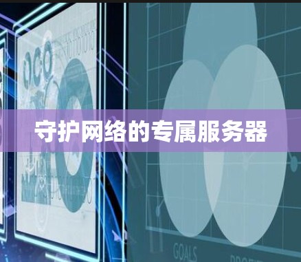 守护网络的专属服务器 守护网络的专属服务器