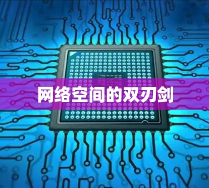 网络空间的双刃剑
