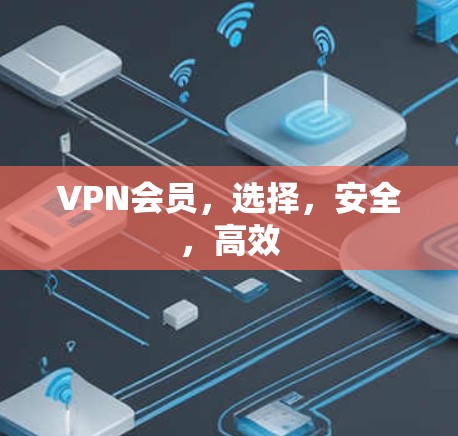 VPN会员,选择,安全,高效 VPN会员,选择,安全,高效