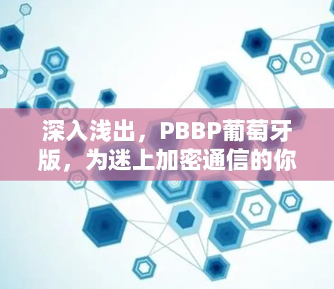 深入浅出,PBBP葡萄牙版,为迷上加密通信的你,带来更安全的网络体验 深入浅出,PBBP葡萄牙版,为迷上加密通信的你,带来更安全的网络体验
