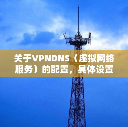 关于VPNDNS（虚拟网络服务）的配置，具体设置方法可能会因不同的VPN服务提供商而有所不同。以下是一些常见的配置步骤和注意事项